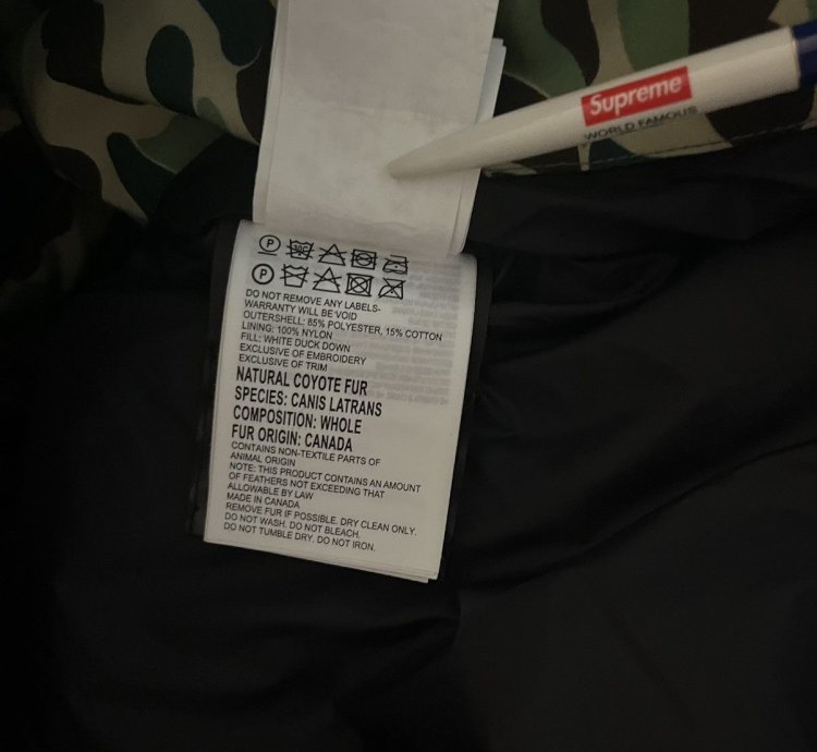 Bape Canada Goose Expedition Jacket