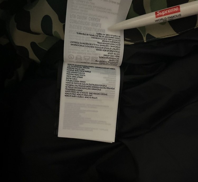 Bape Canada Goose Expedition Jacket