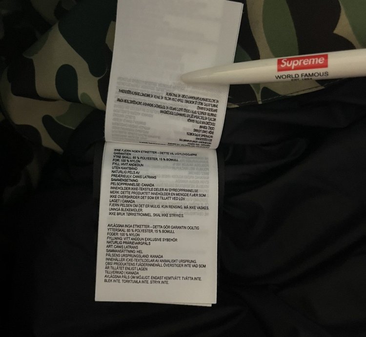 Bape Canada Goose Expedition Jacket