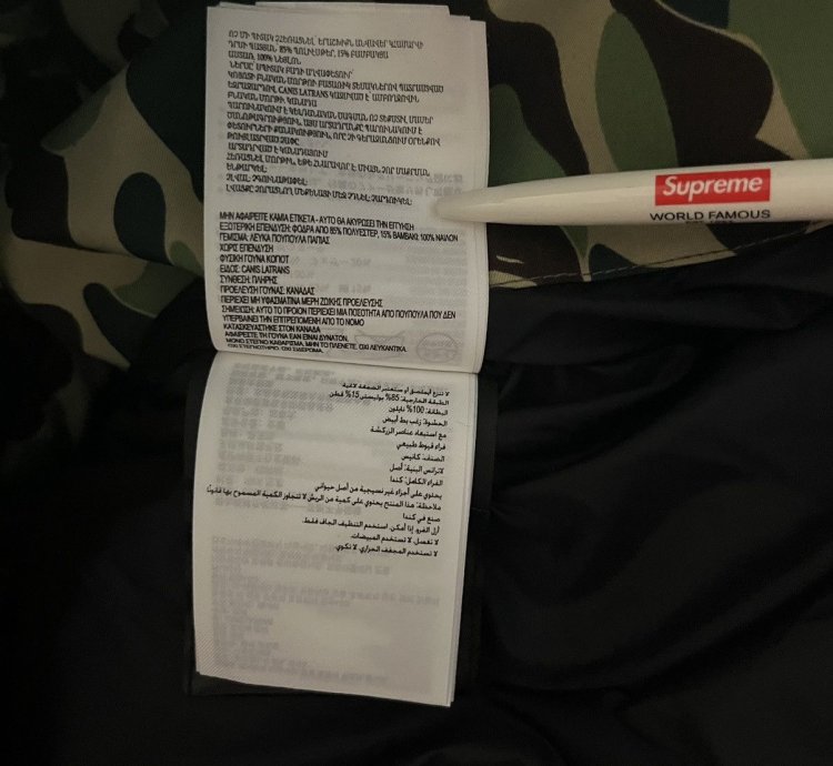Bape Canada Goose Expedition Jacket