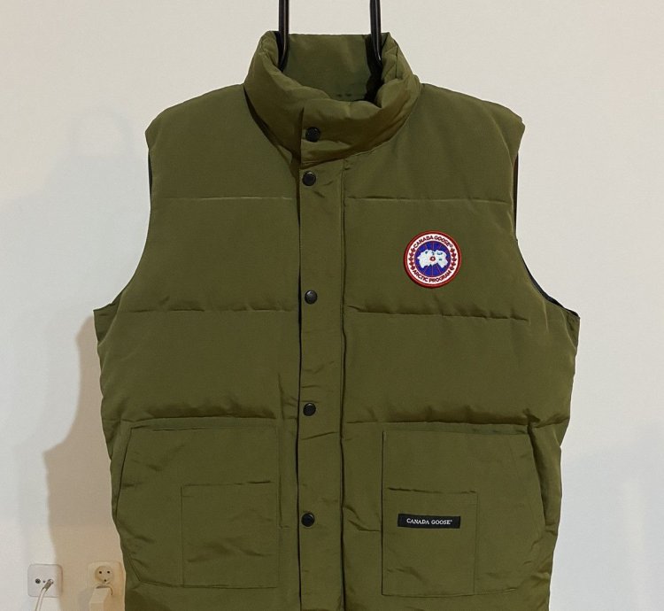 Canada goose