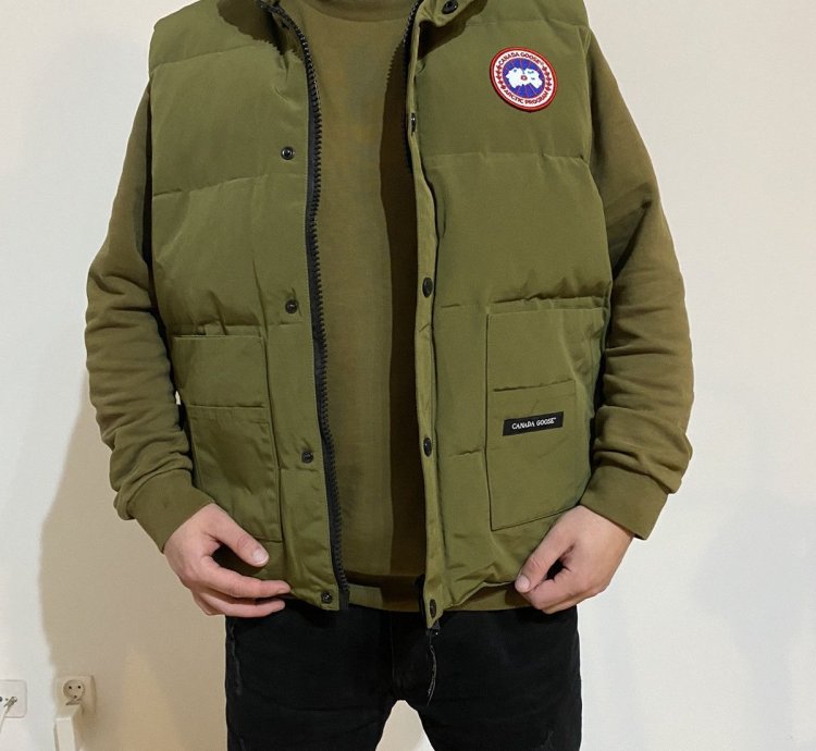 Canada goose