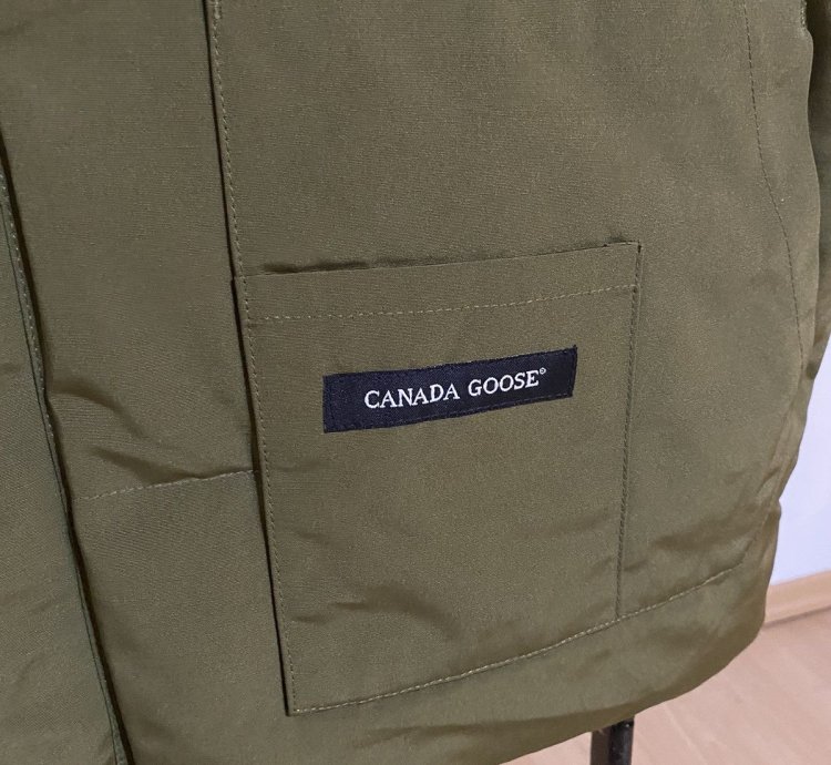 Canada goose