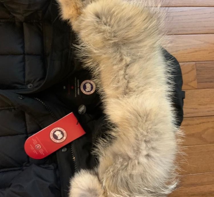Canada goose Callaghan parka BNWT