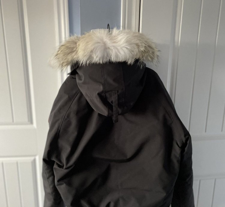 Canada Goose Chilliwack Bomber Jacket