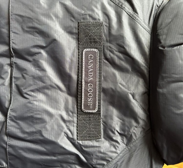 Canada Goose Concepts