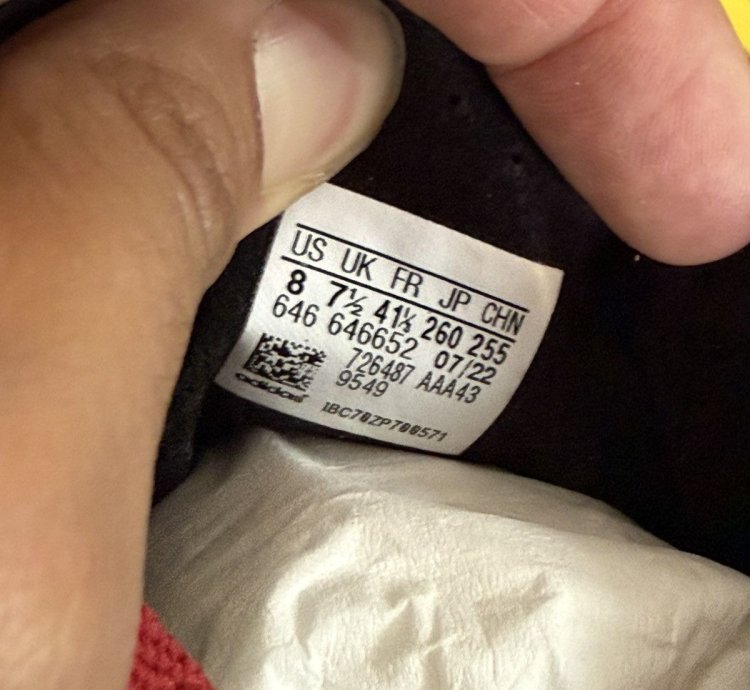 Adidas Gucci Gazelle Sneaker