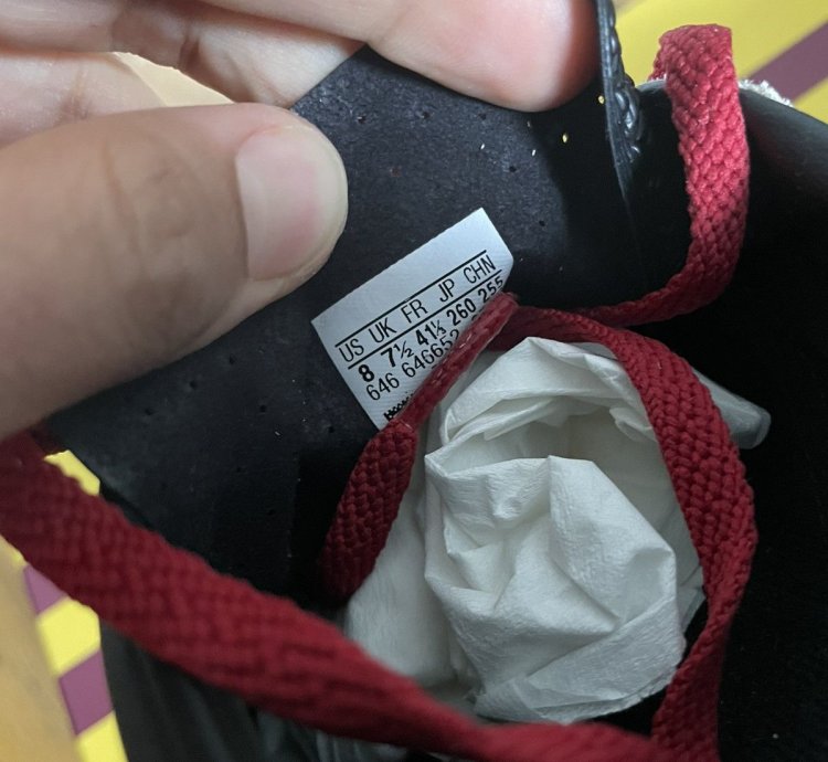 Adidas Gucci Gazelle Sneaker