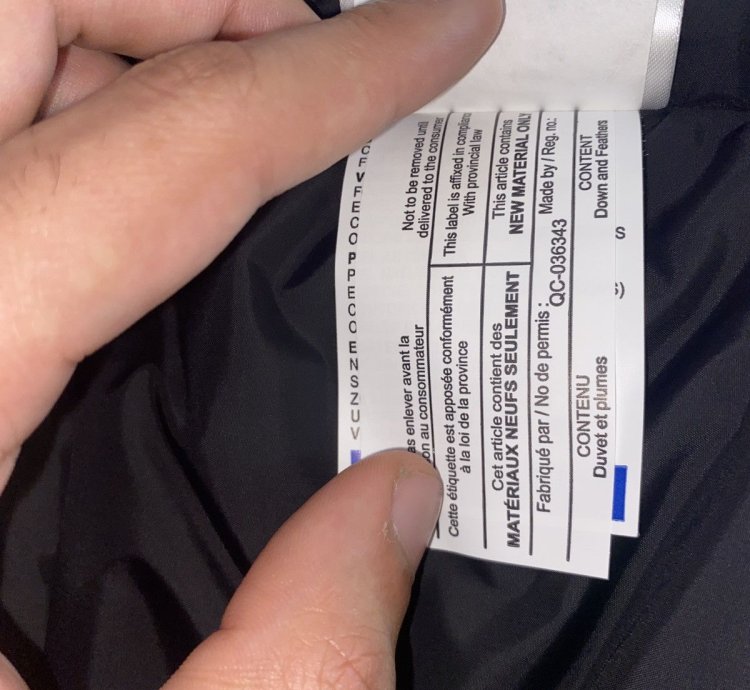 Canada Goose Expedition Parka Royal Blue