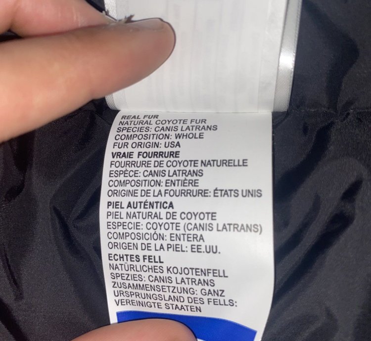 Canada Goose Expedition Parka Royal Blue