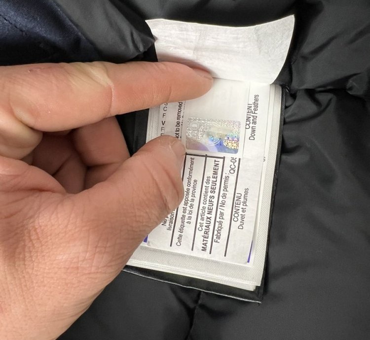 Canada Goose Expedition Parka size