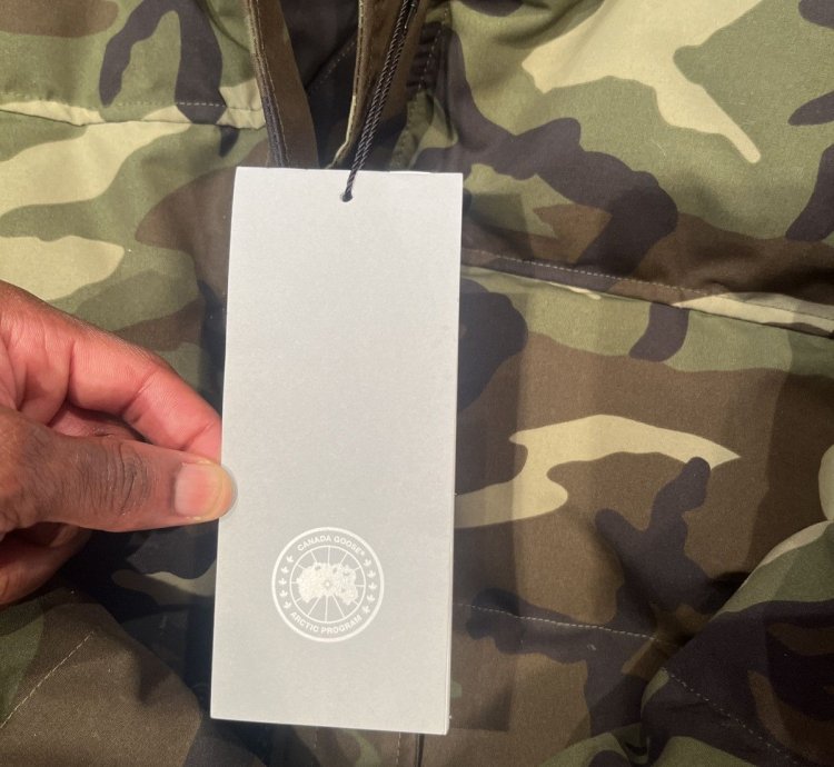Canada goose Macmillan