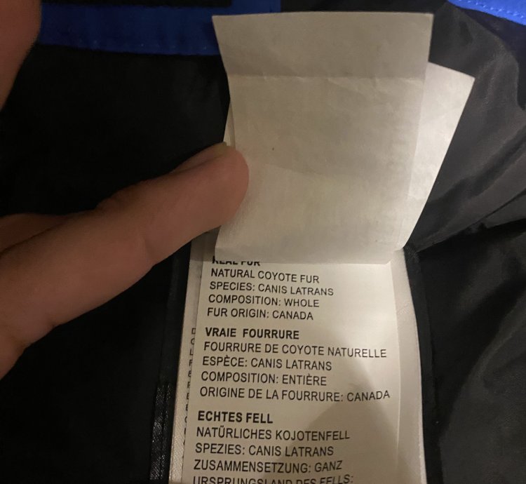 Canada Goose Men PBI Expedition Parka