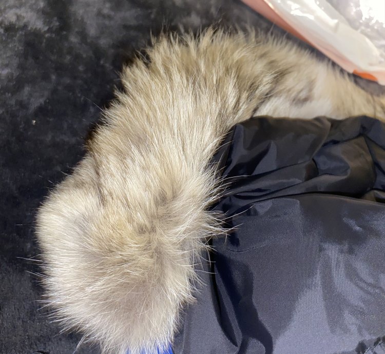 Canada Goose Men PBI Expedition Parka