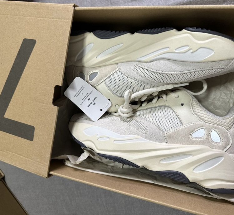 Adidas Yeezy Boost 700 Analog (2019)