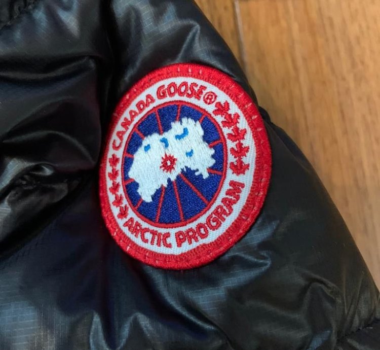 Canada goose OVO