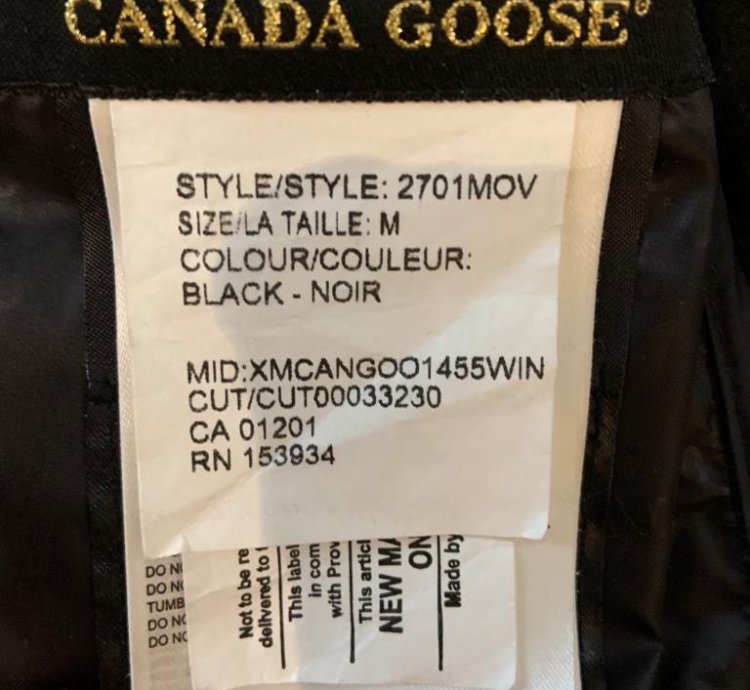 Canada goose OVO