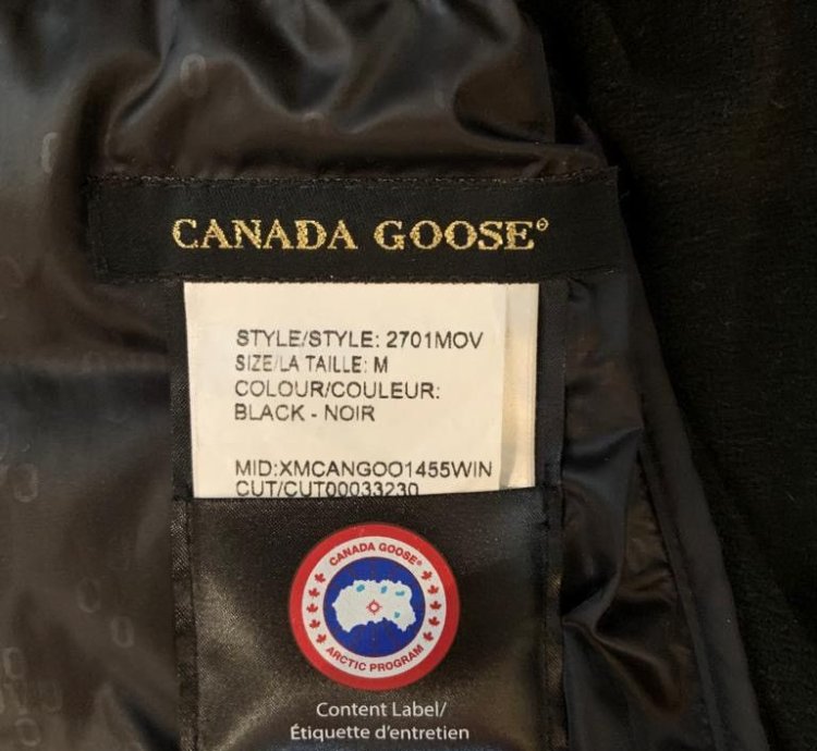 Canada goose OVO