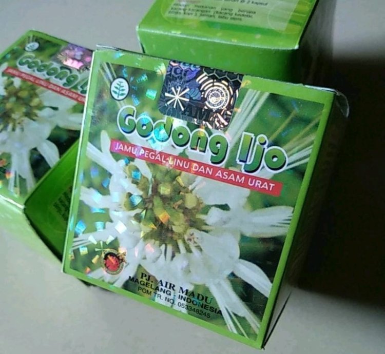 GODONG IJO Herb Overcome Rheumatic Pain and Gout 45gr 20 BOX