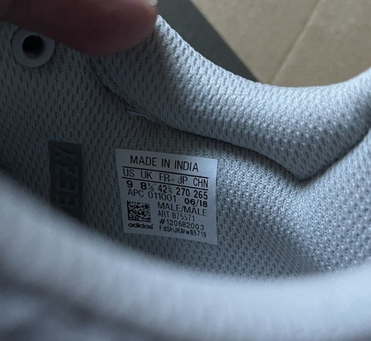 Adidas Yeezy Boost 700 Wave Runners