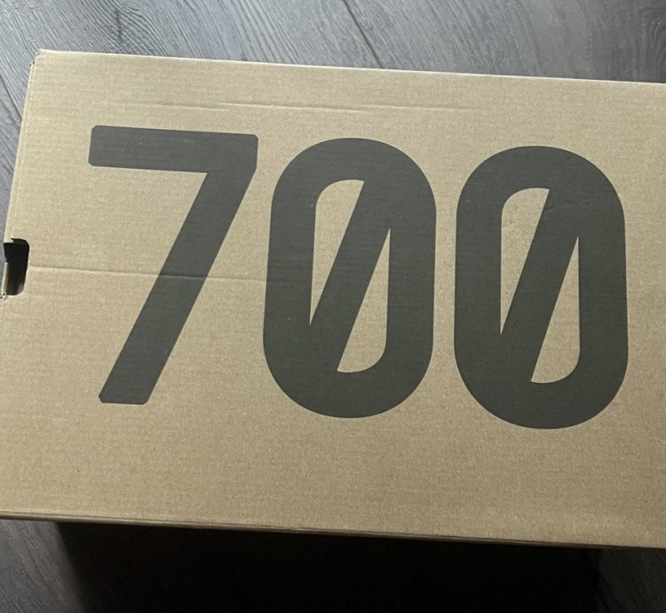 Adidas Yeezy Boost 700 Wave Runners