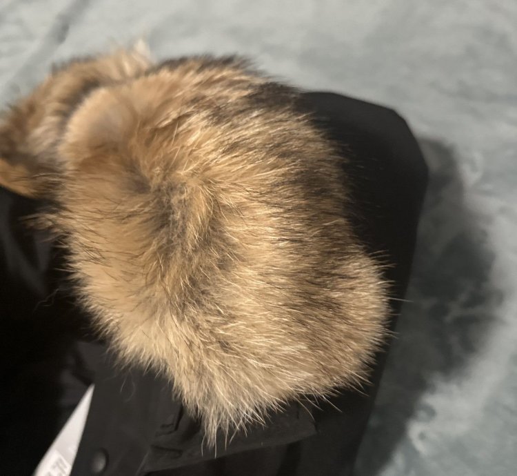 Canada Goose Wyndham Parka Fusion