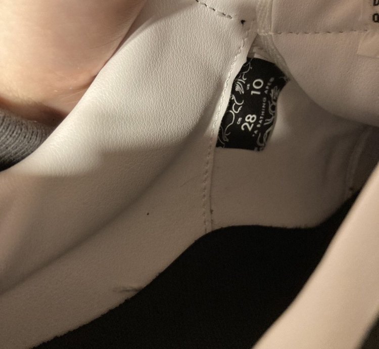 BAPE FUTURE BAPE STA LOW