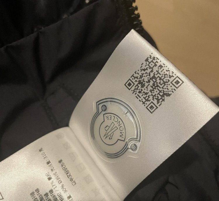 Moncler Damavand Down Jacket