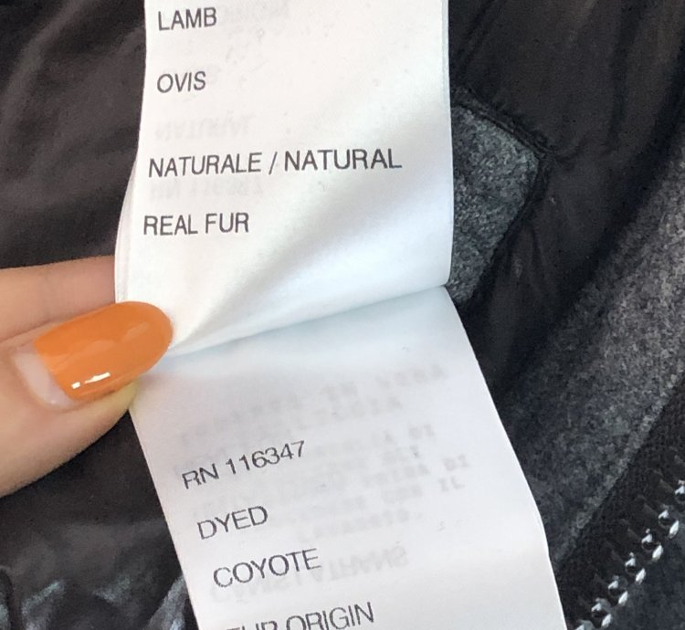 Moncler Damien puffer jacket maya branson bulgarie -2 ever