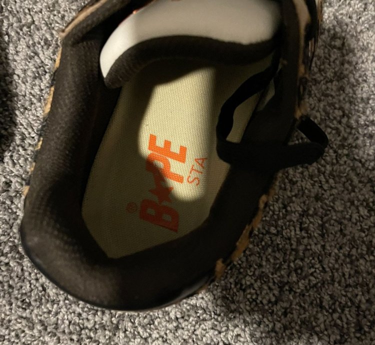 Bape Roadsta