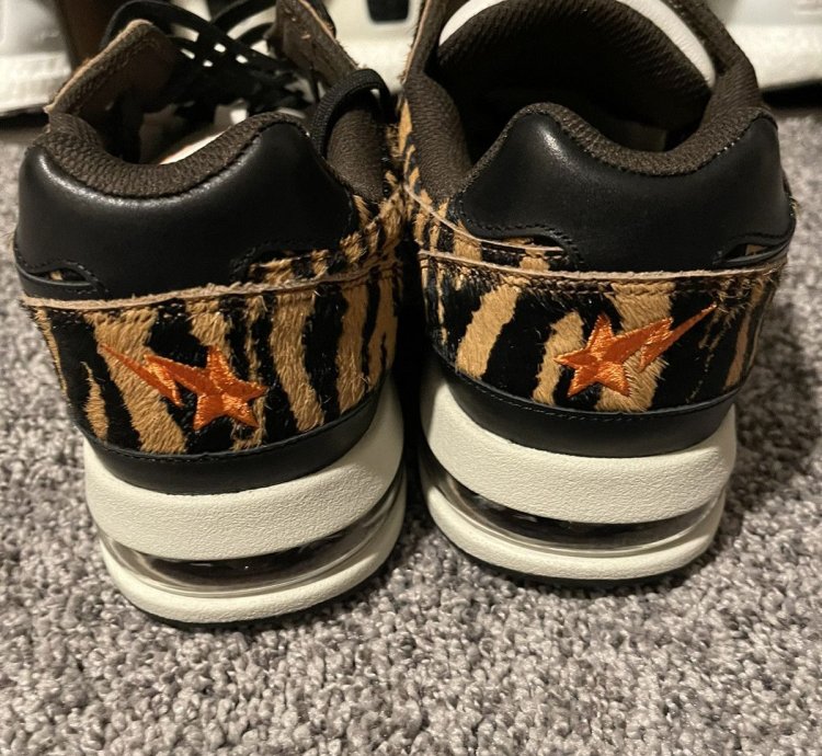 Bape Roadsta