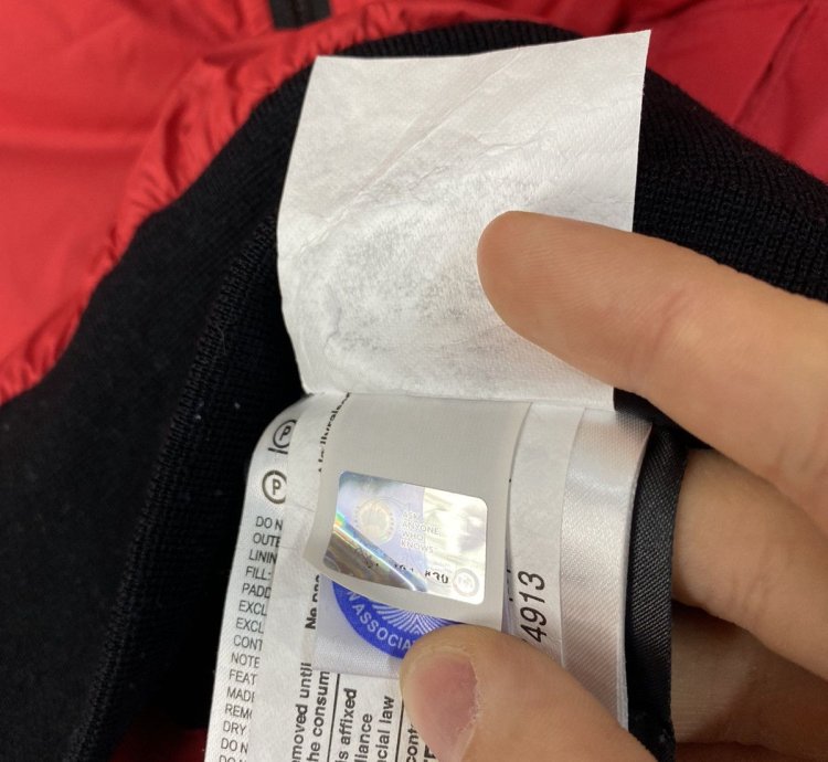 Never Worn Canada Goose Puffer Winter Jacket Doore Hoody