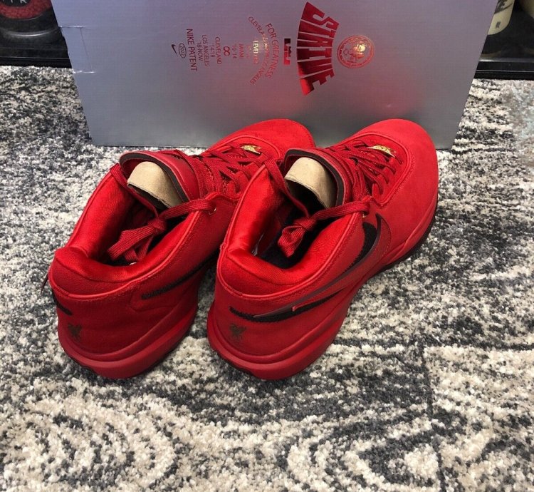 Nike Lebron Xx 20 Liverpool