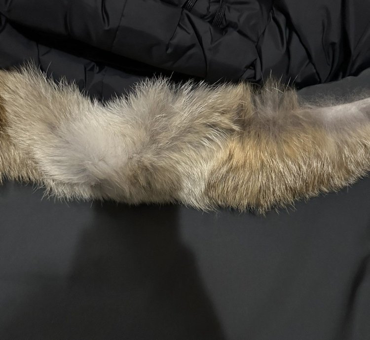 New Canada Goose Graphite Langford Parka