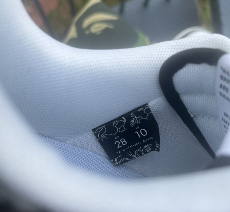 Bape Sta Snake Skin