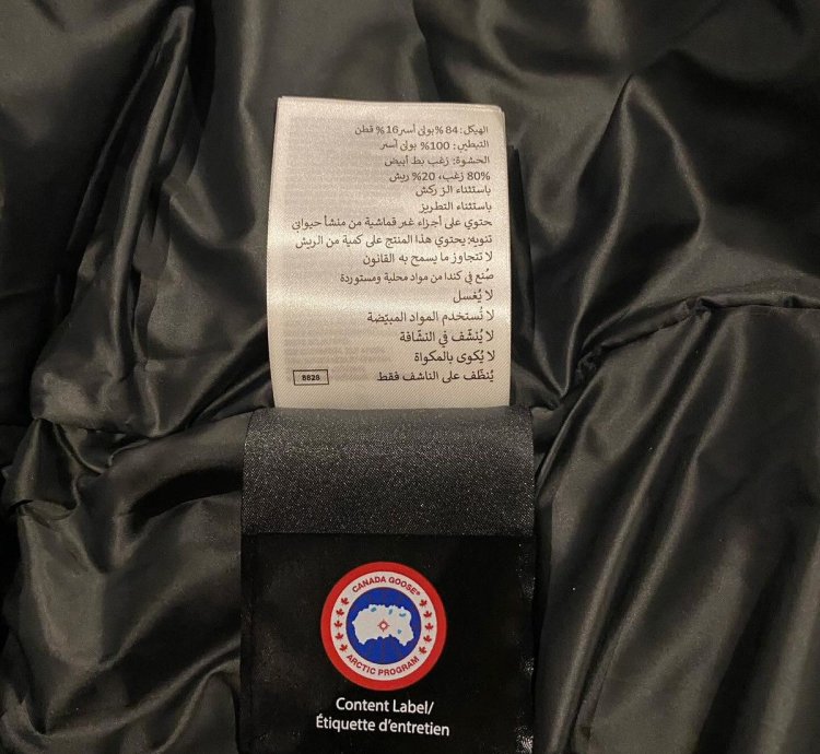 Ovo Canada Goose Terrain Parka Royal Blue