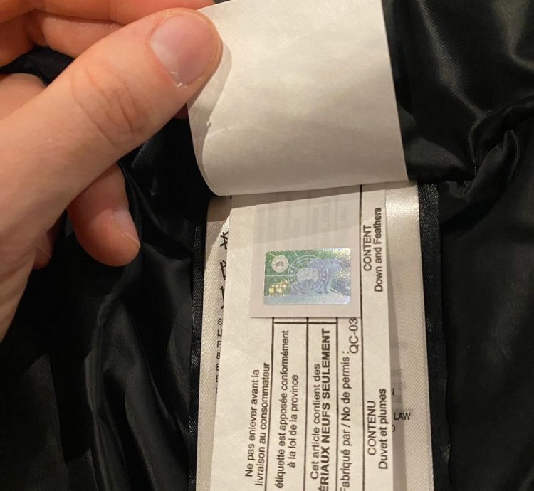Ovo Canada Goose Terrain Parka Royal Blue