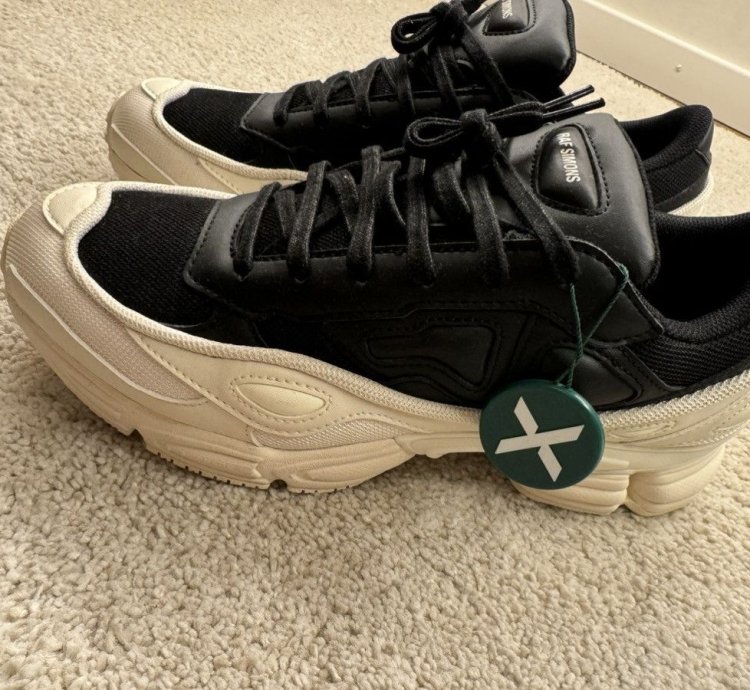 Adidas Ozweego Raf Simmons