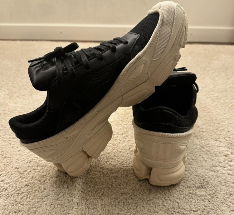 Adidas Ozweego Raf Simmons