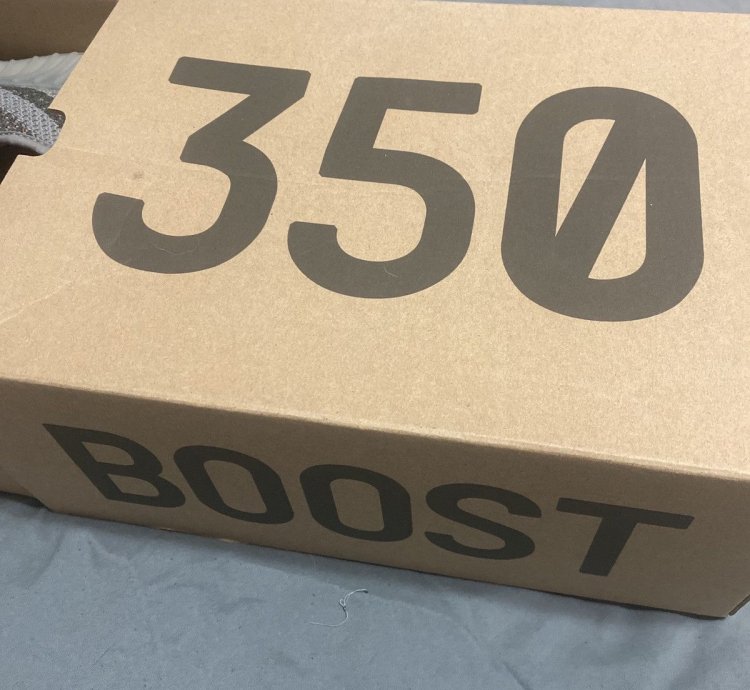 Adidas Yeezy 350 V2 Beluga Reflective