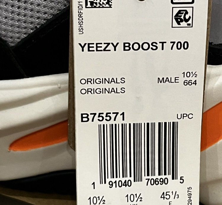 Adidas Yeezy Boost 700 Wave Runner
