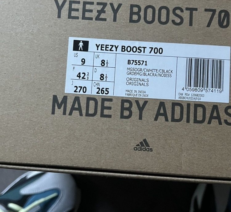 Adidas Yeezy Boost 700 Wave Runners