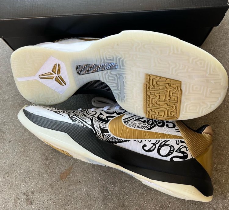 Kobe 5 Protro Big Stage