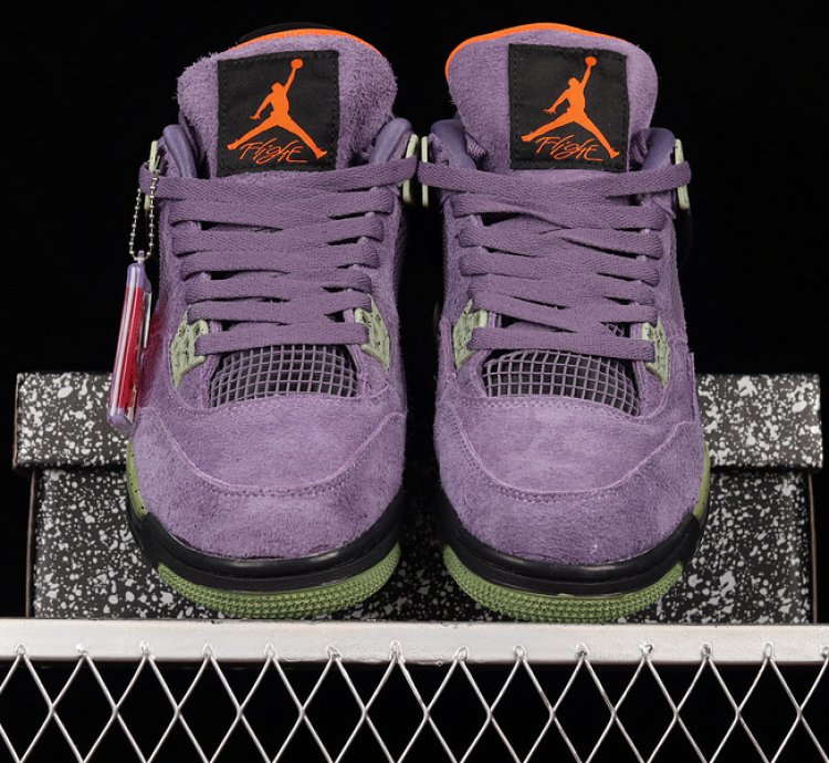 Nike Air Jordan 4 Retro Canyon Purple1