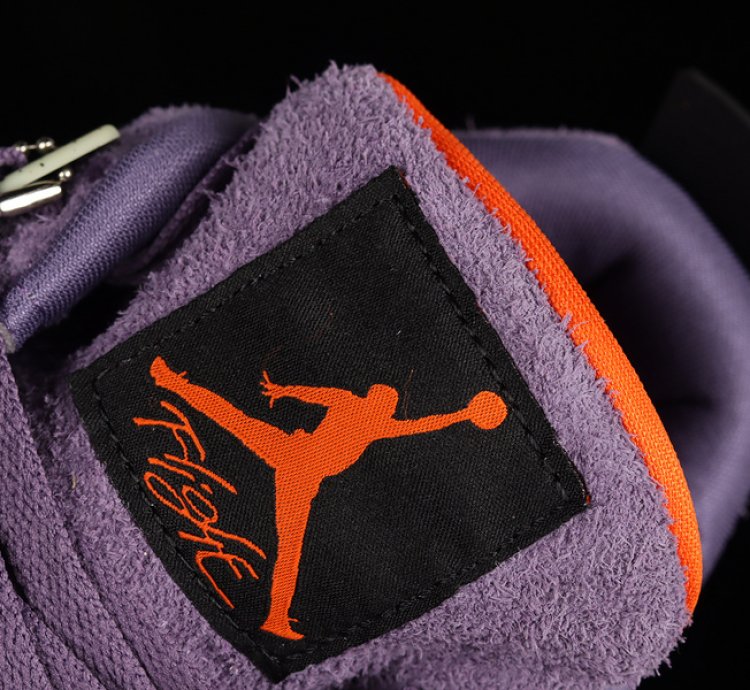 Nike Air Jordan 4 Retro Canyon Purple1