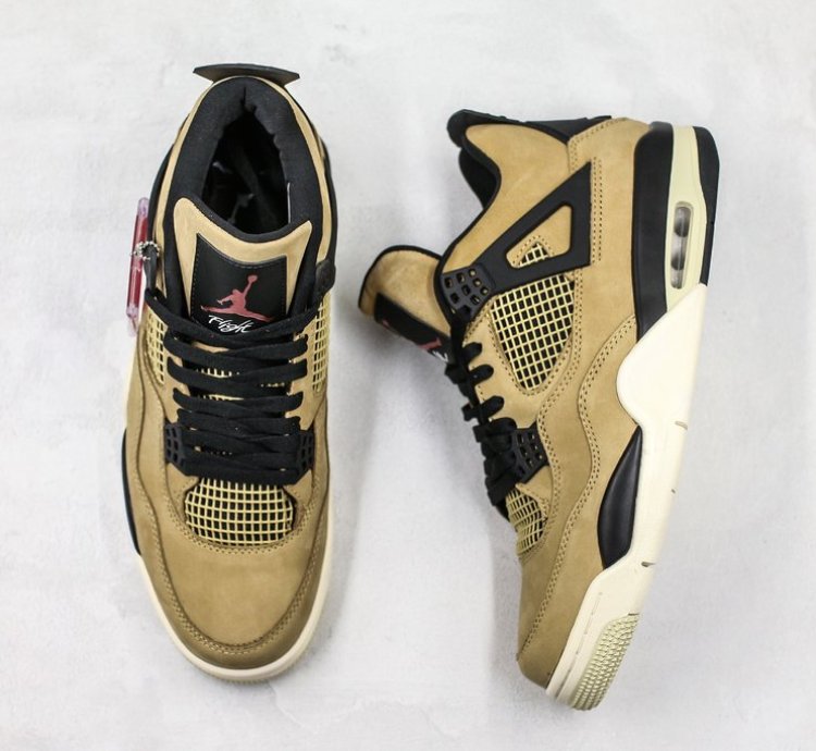 Nike Air Jordan 4 Fossil Brown Mushroom