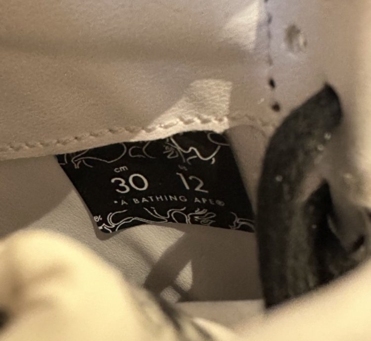 Bapesta Future