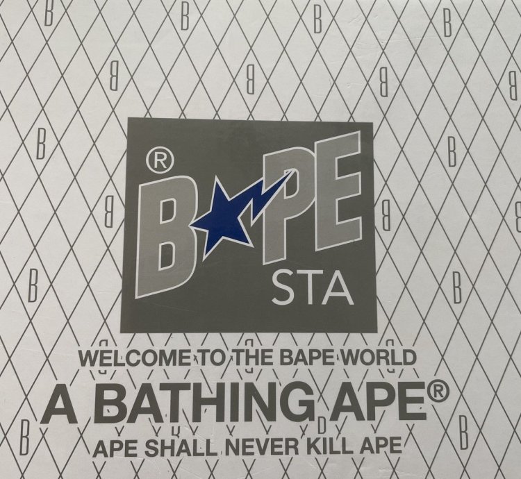Bapesta Low Python