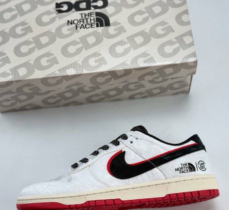 Nike Sb Dunk Low X The North Face Dm6868-041