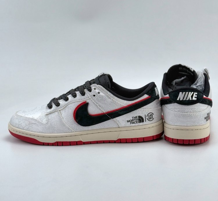 Nike Sb Dunk Low X The North Face Dm6868-041